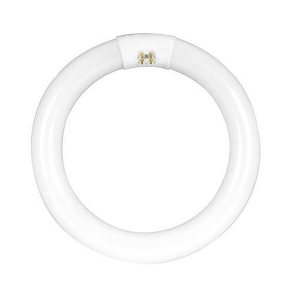 Feit Electric Feit Electric FC12T9CW Bulb Circle; 32W - 12 in. FC12T9CW